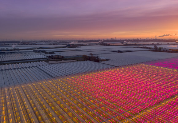 Sky Photo Greenhouses